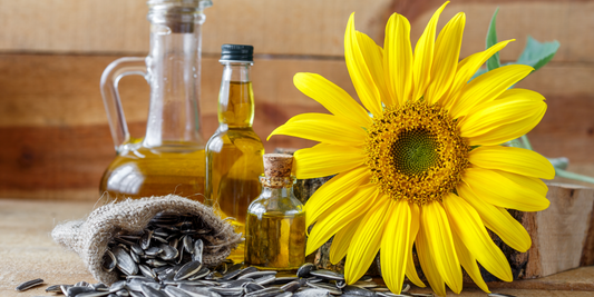 ECZEMA RELIEF: 5 NATURAL OILS YOU SHOULD ADD TO YOUR SKINCARE ROUTINE