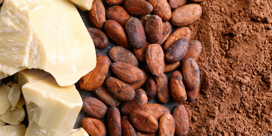 THE LUXURIOUS BENEFITS OF COCOA BUTTER FOR YOUR SKIN